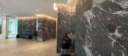 Jade Mansion (D10), Condominium #519271111
